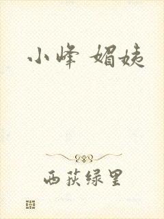 小峰 媚姨封面