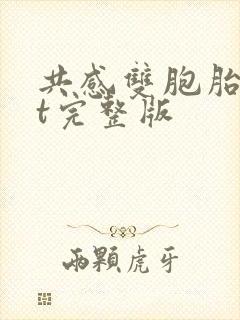 共感双胞胎txt完整版