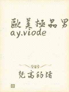 欧美极品男男gay.viode
