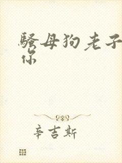 骚母狗老子操死你