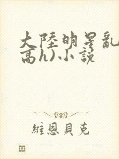 大陆明星乱淫(高h)小说封面