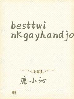besttwinkgayhandjobporn