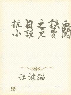 抗日之铁血使命小说免费阅读封面