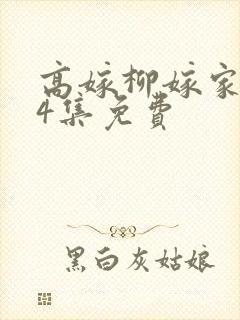 高嫁柳嫁家1到4集免费封面