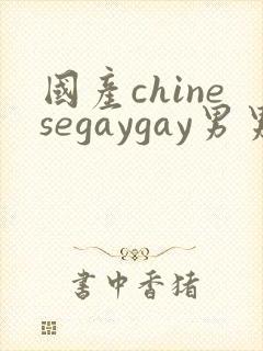国产chinesegaygay男男网站封面