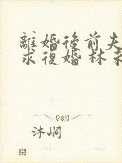 离婚后前夫哭着求复婚 林未央封面
