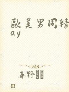 欧美男同精品gay封面