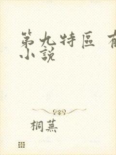 第九特区 有声小说