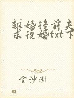 离婚后前夫哭着求复婚txt下载完本