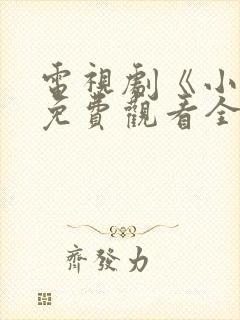 电视剧《小舅》免费观看全集高清