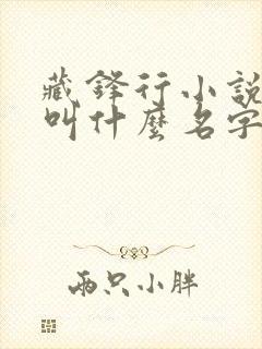 藏锋行小说原著叫什么名字