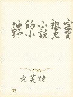 他的小祖宗甜又野小说免费阅读封面