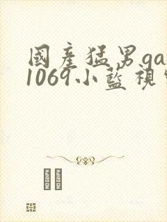国产猛男gay1069小蓝视频