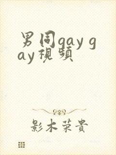 男同gay gay视频