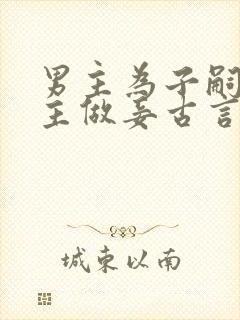 男主为子嗣娶女主做妾古言