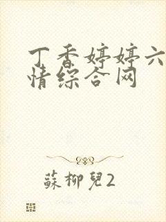 丁香婷婷六月激情综合网