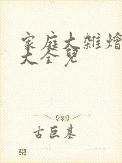 家庭大杂烩小说大全儿封面