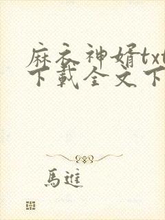 麻衣神婿txt下载全文下载
