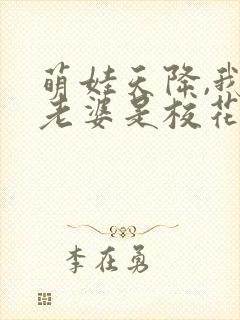 萌娃天降,我的老婆是校花