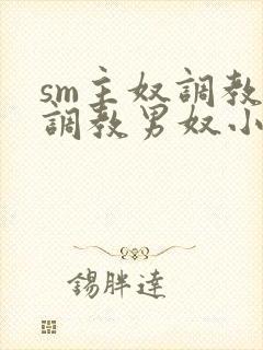 sm主奴调教:调教男奴小说