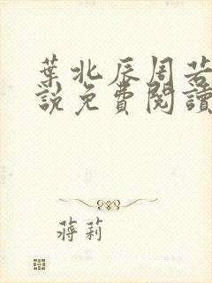 叶北辰周若妤小说免费阅读全文无广告