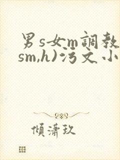 男s女m调教(sm,h)污文小说