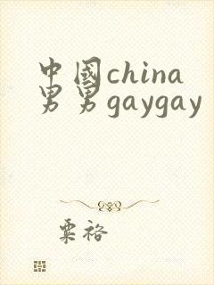 中国china男男gaygay