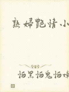 熟妇艳情小说