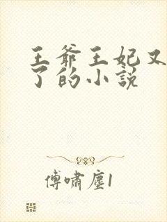 王爷王妃又穷疯了的小说封面