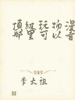 顶级玩物漫画在哪里可以看封面