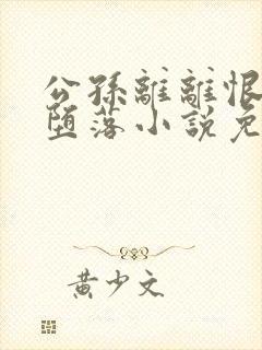 公孙离离恨烟的堕落小说免费阅读