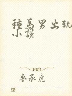 种马男出轨日常小说封面