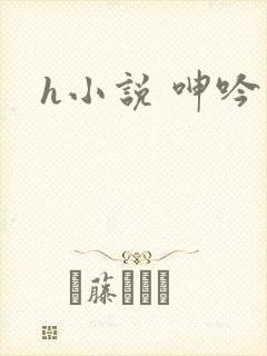 h小说 呻吟