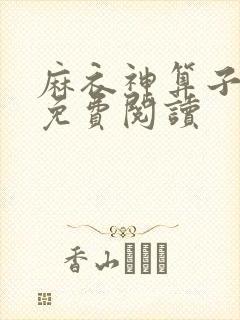 麻衣神算子全文免费阅读