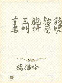 有三胞胎的小说名叫什么呢