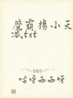 魔霸杨小天无删减txt