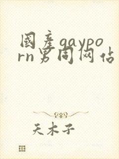国产gayporn男同网站