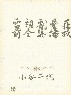 电视剧爱在日落前全集播放