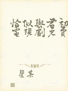 恰似与君初相识电视剧免费观看