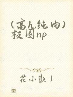 (高h,纯肉)校园np封面
