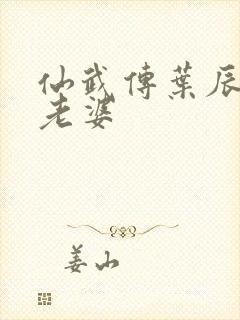 仙武传叶辰几个老婆