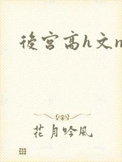 后宫高h文np