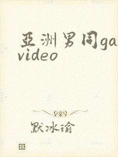 亚洲男同gayvideo封面