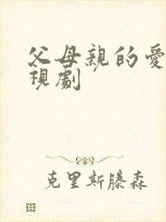 父母亲的爱情电视剧