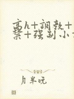 高h+调教+囚禁+强制小说