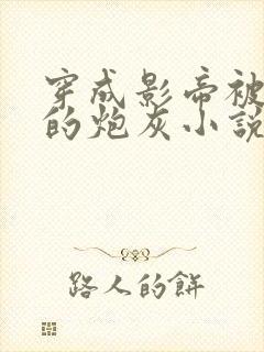 穿成影帝被抛弃的炮灰小说