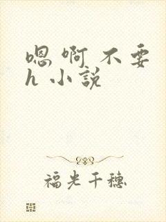 嗯 啊 不要 h 小说