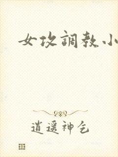 女攻调教小说