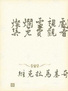 灿烂电视剧40集免费观看封面