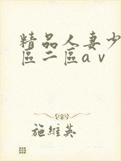 精品人妻少妇一区二区aⅴ封面